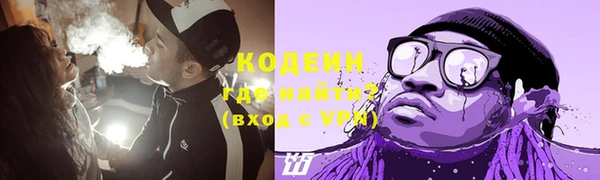 герыч Мегион