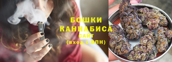 герыч Мегион